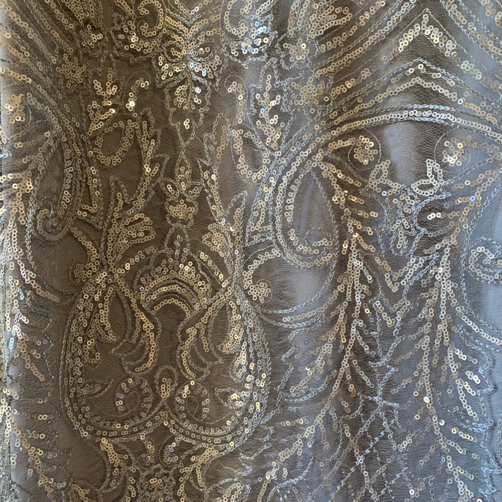 Silver Sequence Gown With Short Sleeves - image 3